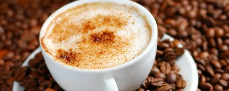 白咖啡和普通咖啡的区别是什么 白咖啡和摩卡咖啡区别