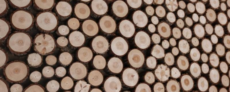木头密度 木头密度大还是水密度大