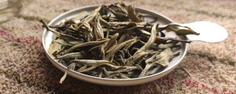 白茶不经过哪种工序 白茶加工工艺中最重要的工序是什么