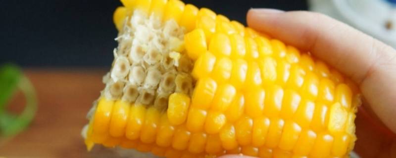 玉米是优质碳水吗 玉米是优质碳水化合物吗