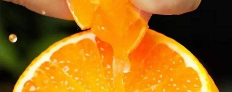 果冻橙是软的吗 果冻橙是软的吗?