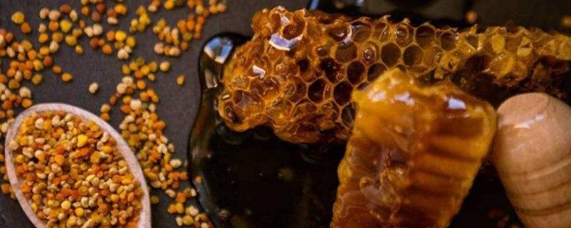 什么是蜂胶 什么是蜂胶,蜂胶是蜂王浆吗