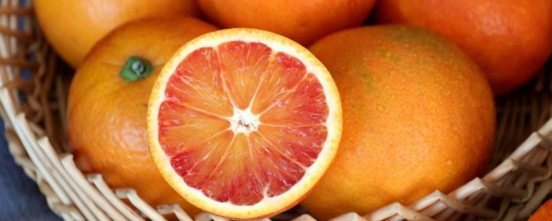 雪橙和血橙的区别 血橙和甜橙的区别
