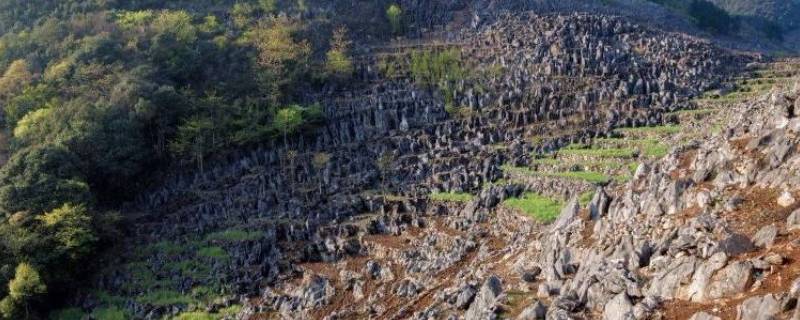 石漠化原因（贵州双河溶洞石漠化原因）