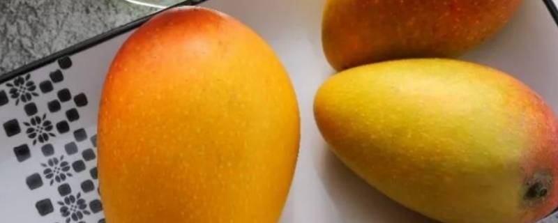 芒果是什么形状的 芒果是什么形状的图片