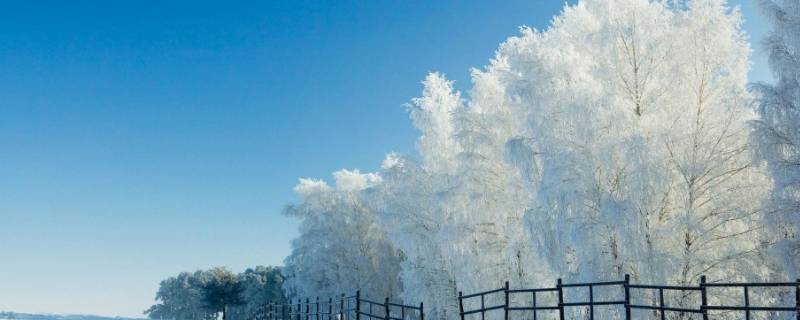 怎么形容下雪天的美景（怎样形容下雪的美景）