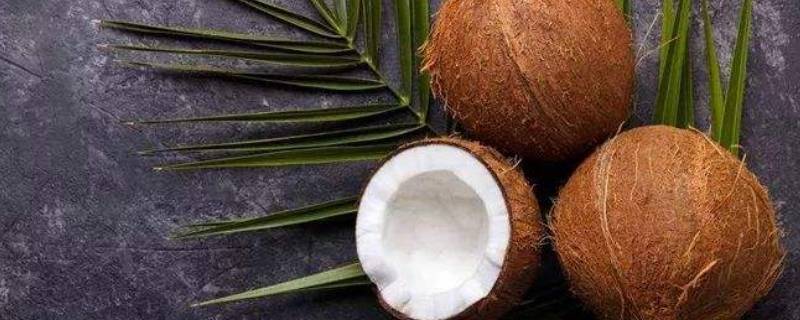椰子怎样打开 椰子怎样打开吃