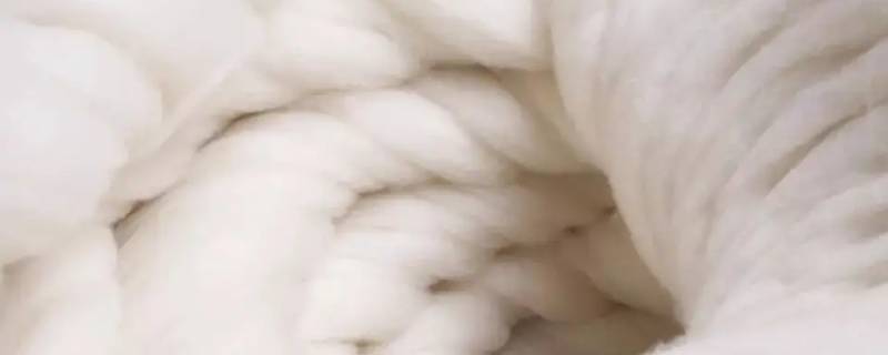 羊绒和山羊绒有什么区别啊 山羊绒和羊绒一样吗