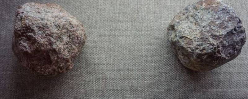 在旧石器时代石球是一种什么工具 球状器旧石器