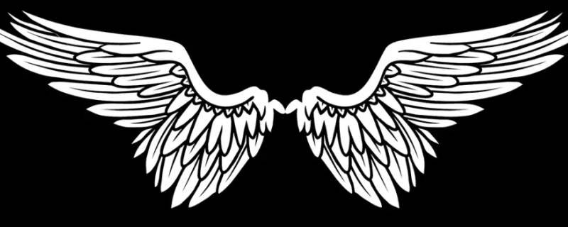 翅膀的寓意和象征 翅膀的含义和象征