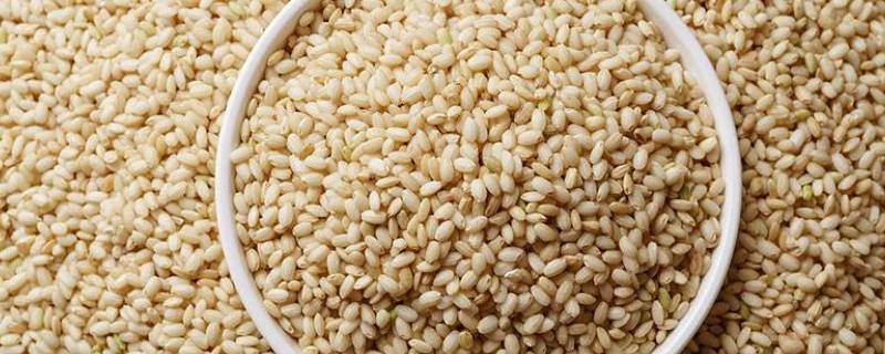 什么是糙米 什么是糙米饭