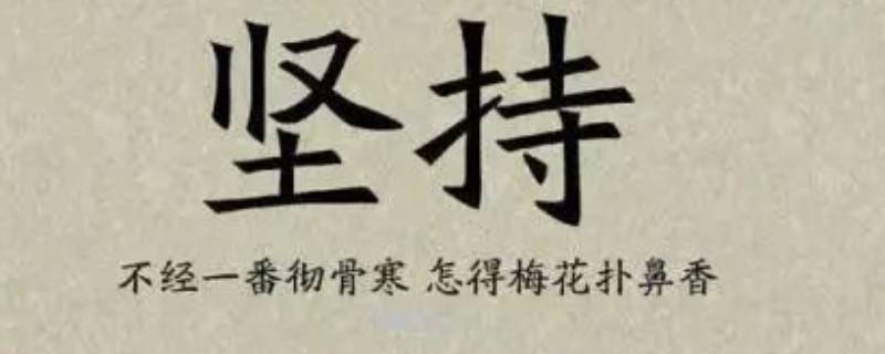 意志力的经典语录（意志的经典语段）