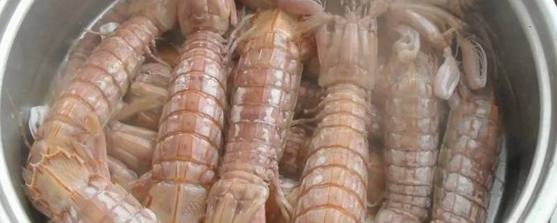 濑尿虾白灼煮多少分钟 濑尿虾煮多少分钟熟