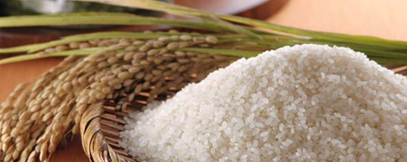 大米生产标准 稻花香大米生产标准