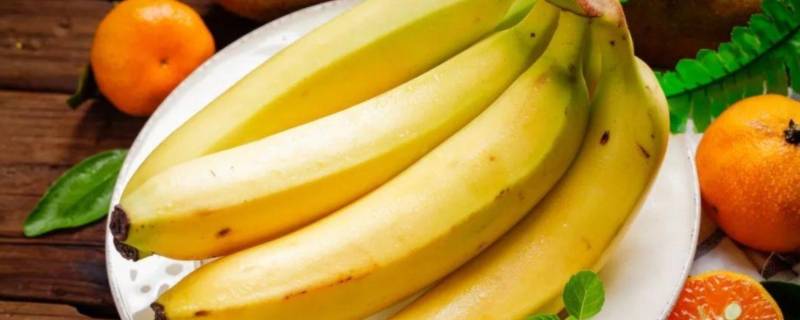 香蕉开花到成熟要多久（香蕉从开花到成熟要多久的成熟周期）