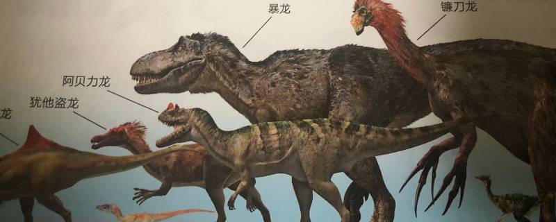 镰刀龙是肉食还是植食 镰刀龙是肉食恐龙还是植食恐龙