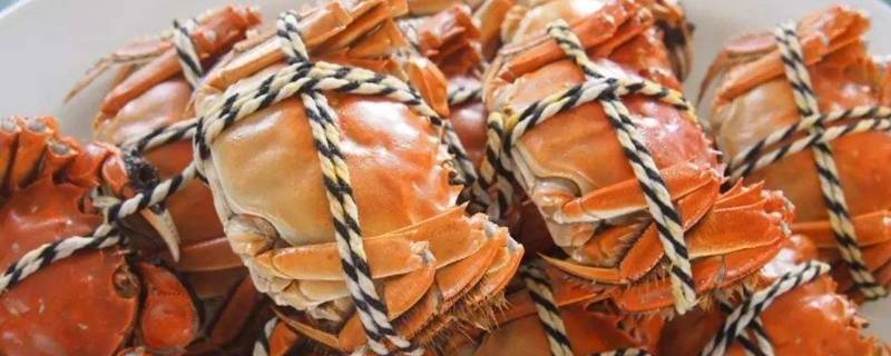 螃蟹肉像豆腐渣什么原因 活螃蟹肉像豆腐渣什么原因