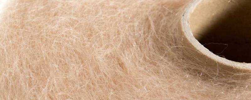 马海毛是什么毛 马海毛是什么毛起球吗