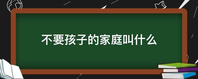 不要孩子的家庭叫什么（不要孩子的家庭叫什么人）