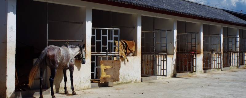 马住的地方叫什么 马住的地方叫什么名称