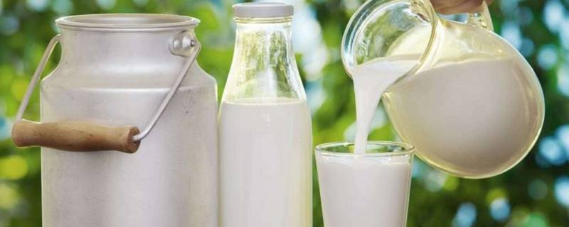 生牛乳和纯牛奶有什么区别（生牛乳和纯牛奶有什么区别张起灵）