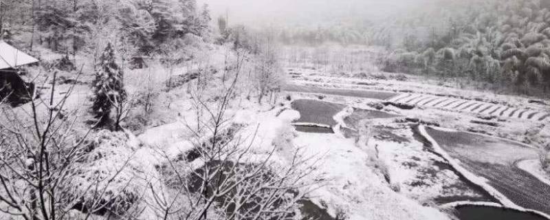 10月份下雪的城市有哪些（10月份会下雪的城市）