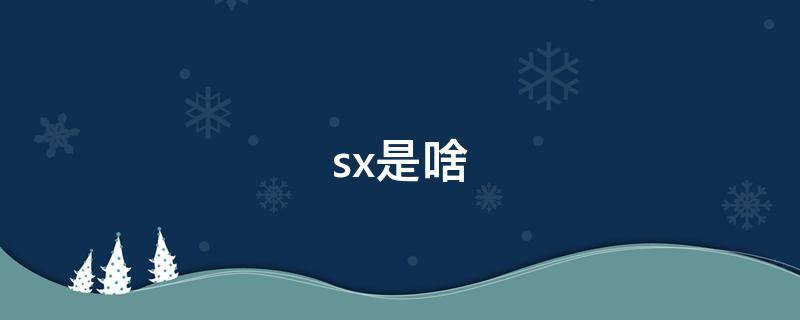 sx是啥 sx是啥车牌