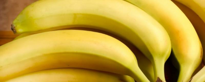 香蕉是水果吗（香蕉是水果吗是什么梗）