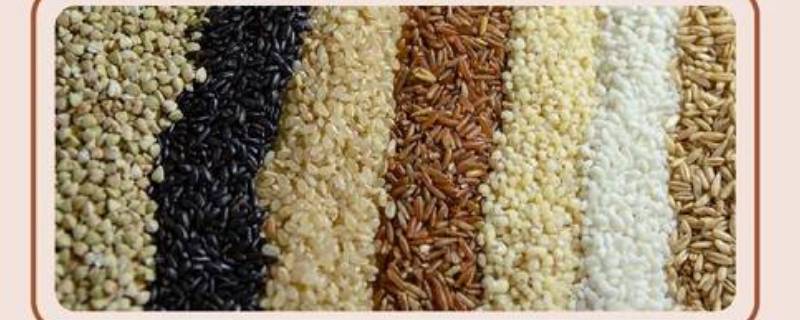 七色糙米都有什么米 七色糙米都有什么米怎么配比