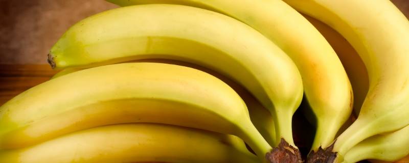 现在吃的黄色香蕉怎么来的 现在吃的黄色香蕉怎么来的农场