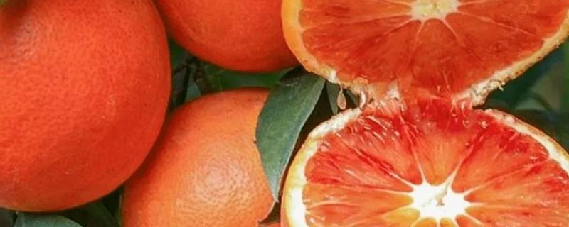 血橙是几月份的水果 血橙是哪个季节的水果