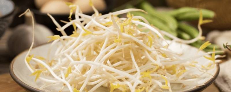 在家怎么养绿豆芽 怎样养绿豆芽
