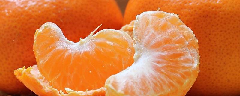 橘子和桔子哪一个才是对的（橘子和桔子的区别是什么呀[疑问]）