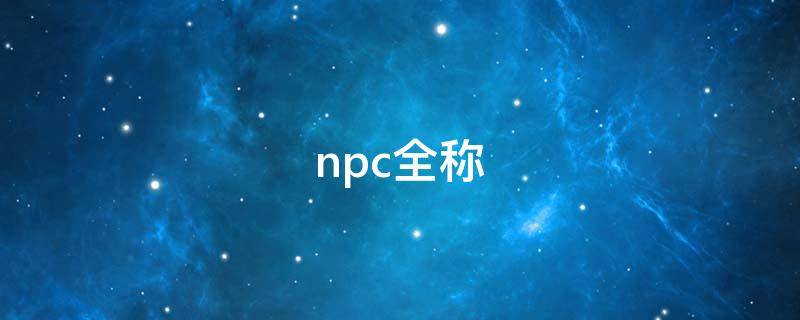 npc全称 npc全称男团