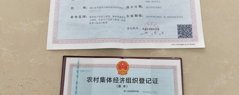 农村集体经济组织是什么意思 农村集体经济组织是啥意思