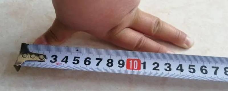 尺子怎么测量 尺子测量
