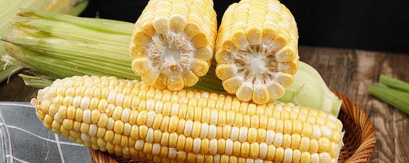 玉米可以做成什么 玉米可以做成什么食品