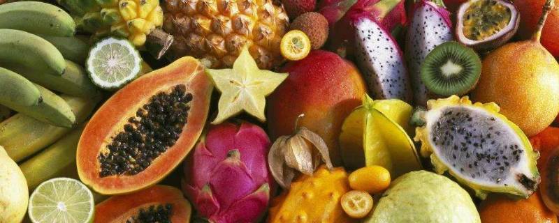 11月应季水果有哪些 11月的应季水果