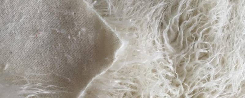 滩羊毛是属于什么毛 滩羊毛是什么羊身上的毛