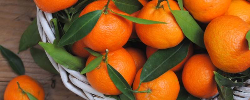橘子要放冰箱保存吗 橘子可以放在冰箱里保存吗