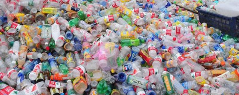 塑料瓶需要多久才能在大自然中降解 塑料瓶需要多久才能在大自然中降解掉