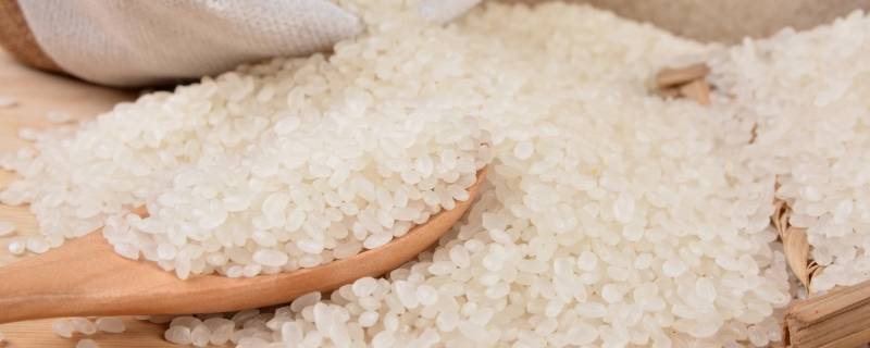 响水贡米是哪里产的 响水贡米多少钱一斤