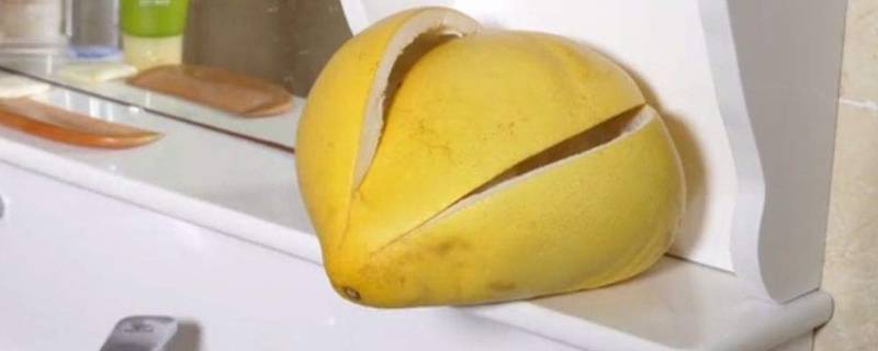 柚子皮可以驱赶蟑螂吗（柚子皮驱蟑螂有效果吗?）