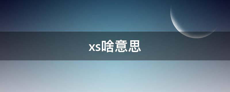 xs啥意思 车牌xs啥意思