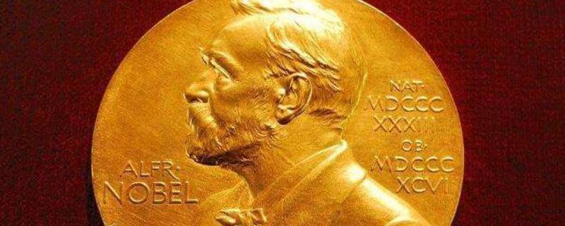 诺贝尔有几个奖 诺贝尔几项奖?