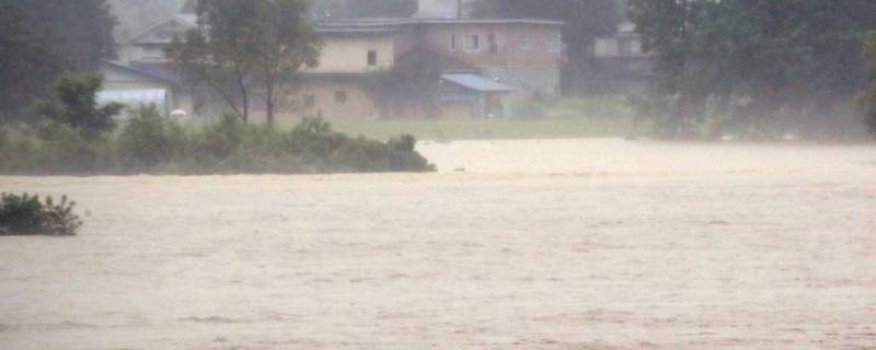 遇到暴雨如何自救 遇到暴雨怎么自救