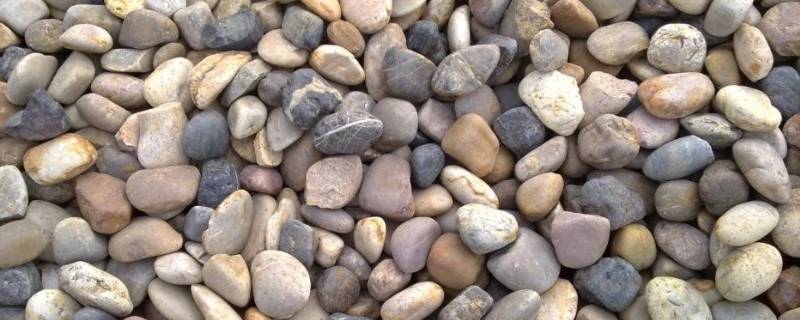 鹅卵石是岩石吗（鹅卵石是岩石吗为什么）