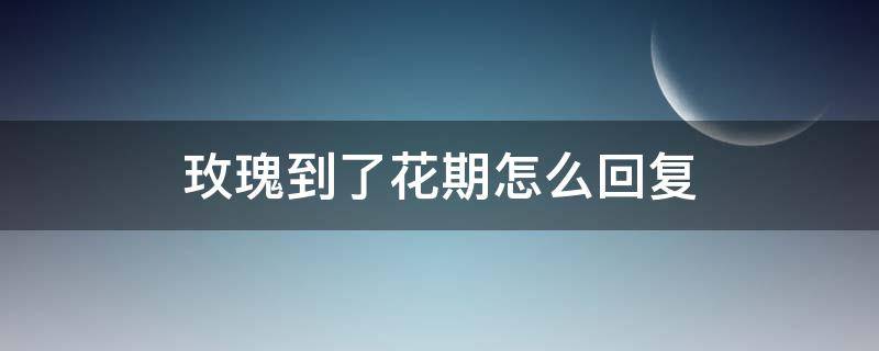 玫瑰到了花期怎么回复 玫瑰到了花期如何回复