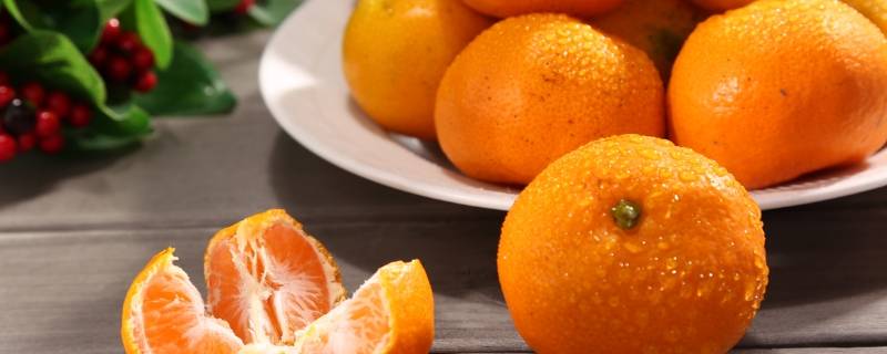 蜜桔和蜜橘有什么区别 蜜桔跟橘子区别