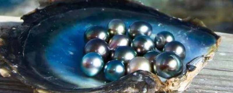 大溪地珍珠是哪里产的 大溪地珍珠是什么珍珠